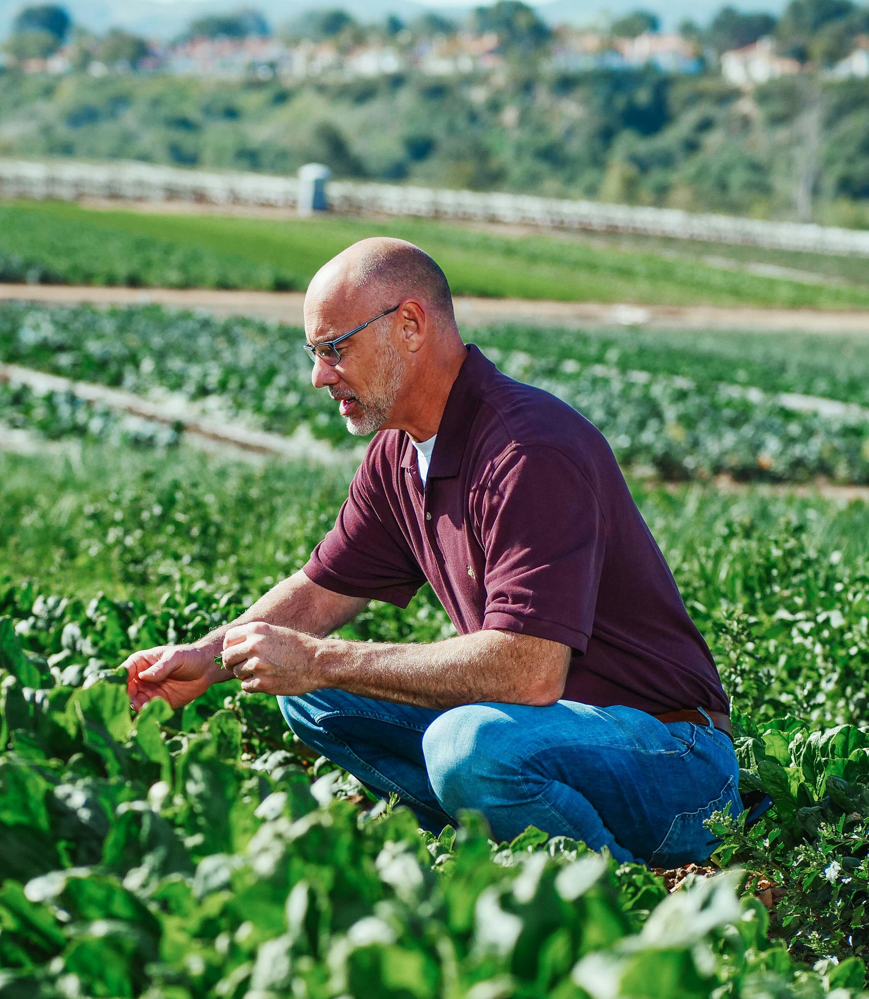 A local farmer from Green Valley Organics